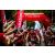 Team 107 / Raid Amazones Vietnam 2019 - J2 Bike and Run
