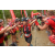 Team 91 / Raid Amazones Vietnam 2019 - J2 Bike and Run