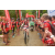 Team 91 / Raid Amazones Vietnam 2019 - J2 Bike and Run