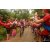 Team 52 / Raid Amazones Vietnam 2019 - J2 Bike and Run