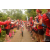 Team 108 / Raid Amazones Vietnam 2019 - J2 Bike and Run