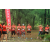 Raid Amazones Vietnam 2019