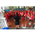 Raid Amazones Vietnam 2019