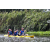 Team 136 / Raid Amazones Vietnam 2019 - J4 Run and Canoe