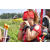 Team 78 / Raid Amazones Vietnam 2019 - J4 Run and Canoe