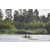 Team 53 / Raid Amazones Vietnam 2019 - J4 Run and Canoe