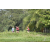 Team 110 / Raid Amazones Vietnam 2019 - J4 Run and Canoe