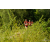 Team 111 / Raid Amazones Vietnam 2019 - J4 Run and Canoe
