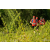 Team 107 / Raid Amazones Vietnam 2019 - J4 Run and Canoe