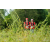 Team 95 / Raid Amazones Vietnam 2019 - J4 Run and Canoe