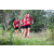 Team 148 / Raid Amazones Vietnam 2019 - J4 Run and Canoe