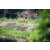 Team 39 / Raid Amazones Vietnam 2019 - J4 Run and Canoe