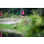 Team 38 / Raid Amazones Vietnam 2019 - J4 Run and Canoe