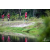 Team 124 / Raid Amazones Vietnam 2019 - J4 Run and Canoe