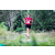 Team 38 / Raid Amazones Vietnam 2019 - J4 Run and Canoe