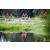 Team 18 / Raid Amazones Vietnam 2019 - J4 Run and Canoe