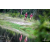Team 35 / Raid Amazones Vietnam 2019 - J4 Run and Canoe