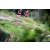 Team 33 / Raid Amazones Vietnam 2019 - J4 Run and Canoe
