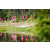Team 114 / Raid Amazones Vietnam 2019 - J4 Run and Canoe