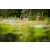 Team 117 / Raid Amazones Vietnam 2019 - J4 Run and Canoe