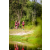 Team 144 / Raid Amazones Vietnam 2019 - J4 Run and Canoe