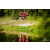 Team 115 / Raid Amazones Vietnam 2019 - J4 Run and Canoe