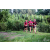 Team 120 / Raid Amazones Vietnam 2019 - J4 Run and Canoe
