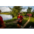 Team 101 / Raid Amazones Vietnam 2019 - J4 Run and Canoe