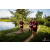 Team 127 / Raid Amazones Vietnam 2019 - J4 Run and Canoe