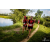Team 09 / Raid Amazones Vietnam 2019 - J4 Run and Canoe