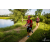 Team 31 / Raid Amazones Vietnam 2019 - J4 Run and Canoe