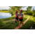 Team 108 / Raid Amazones Vietnam 2019 - J4 Run and Canoe