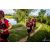 Team 136 / Raid Amazones Vietnam 2019 - J4 Run and Canoe