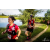 Team 136 / Raid Amazones Vietnam 2019 - J4 Run and Canoe