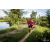 Team 64 / Raid Amazones Vietnam 2019 - J4 Run and Canoe