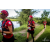 Team 58 / Raid Amazones Vietnam 2019 - J4 Run and Canoe