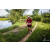 Team 84 / Raid Amazones Vietnam 2019 - J4 Run and Canoe