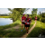 Team 48 / Raid Amazones Vietnam 2019 - J4 Run and Canoe