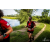 Team 36 / Raid Amazones Vietnam 2019 - J4 Run and Canoe