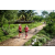 Team 88 / Raid Amazones Vietnam 2019 - J4 Run and Canoe