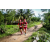 Team 43 / Raid Amazones Vietnam 2019 - J4 Run and Canoe
