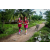 Team 81 / Raid Amazones Vietnam 2019 - J4 Run and Canoe