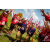 Team 88 / Raid Amazones Vietnam 2019 - J4 Run and Canoe