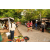 Team 50 / Raid Amazones Vietnam 2019 - J4 Run and Canoe