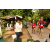 Team 29 / Raid Amazones Vietnam 2019 - J4 Run and Canoe