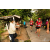 Team 148 / Raid Amazones Vietnam 2019 - J4 Run and Canoe