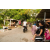 Team 07 / Raid Amazones Vietnam 2019 - J4 Run and Canoe