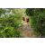Team 177 / Raid Amazones Vietnam 2019 - J4 Run and Canoe