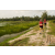 Team 117 / Raid Amazones Vietnam 2019 - J4 Run and Canoe