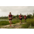Team 111 / Raid Amazones Vietnam 2019 - J4 Run and Canoe